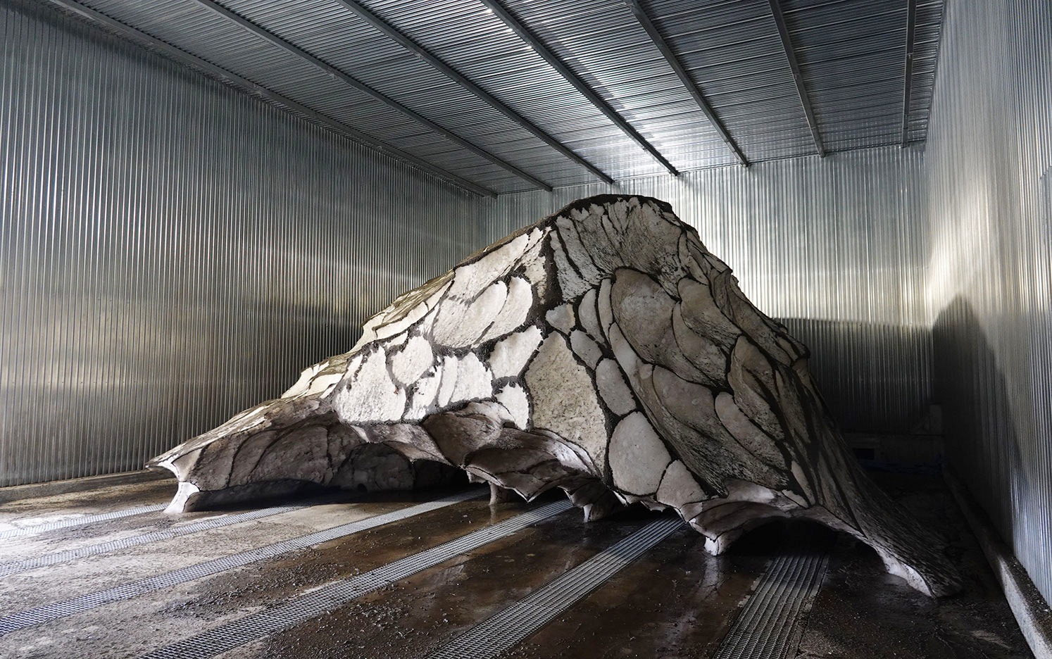 貯雪室の様子（2025年12月）